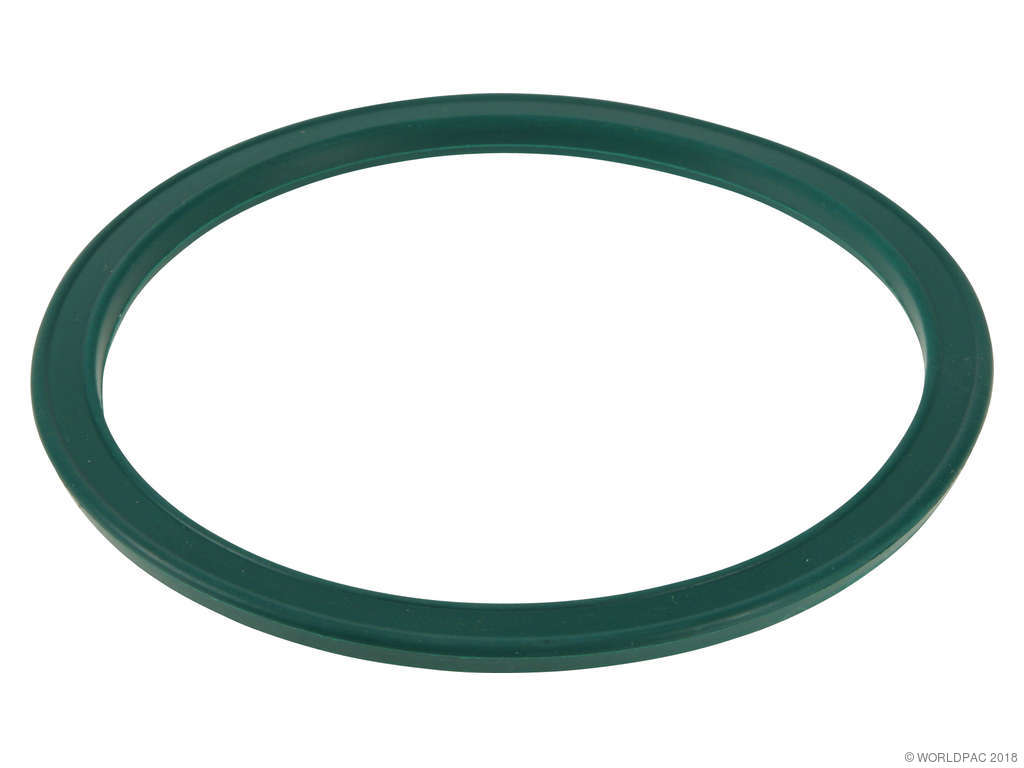Fuel Pump Tank Seal