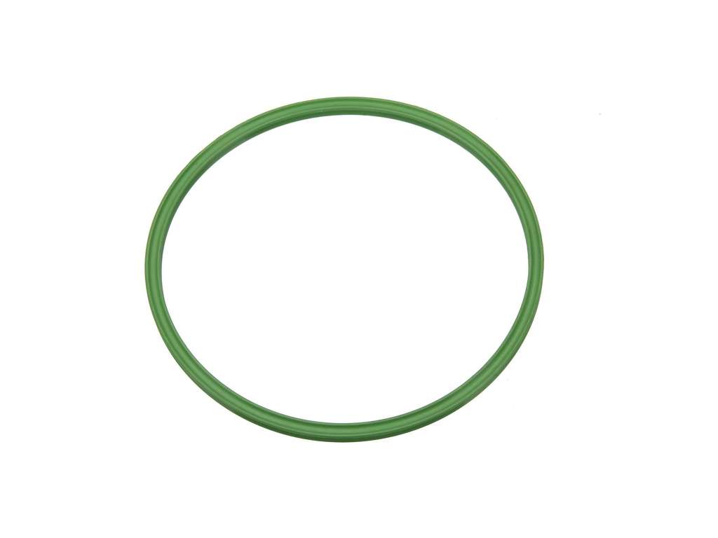 Fuel Pump Tank Seal