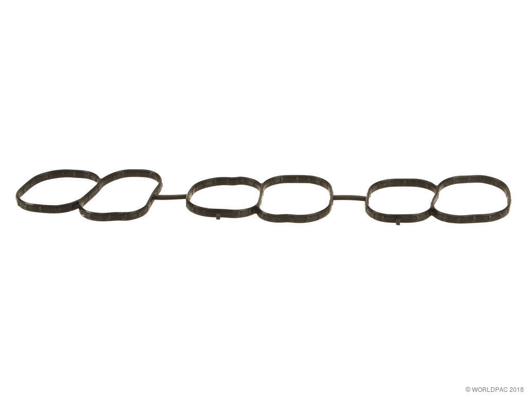 Fuel Injection Plenum Gasket