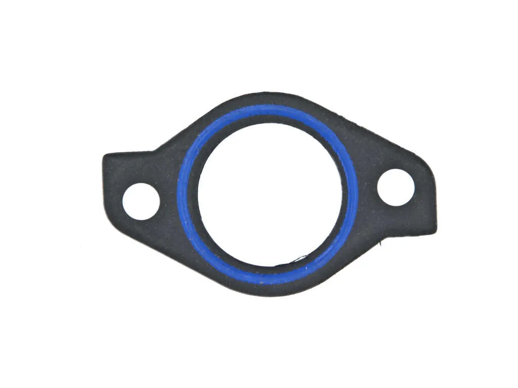 2010, 2009, 2008, 2007, 2006, 2005, 2004, 2003, 2002, 2001 Kia Optima Fe Engine Coolant Outlet Gasket