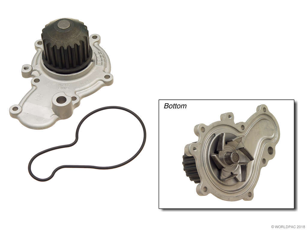 2005, 2004, 2003, 2002, 2001, 2000, 1999, 1998, 1997, 1996, 1995 Dodge Neon Engine Water Pump
