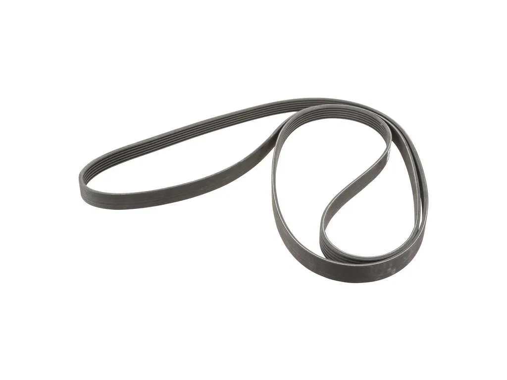 2008, 2007 Ford Expedition Accessory Drive Belt