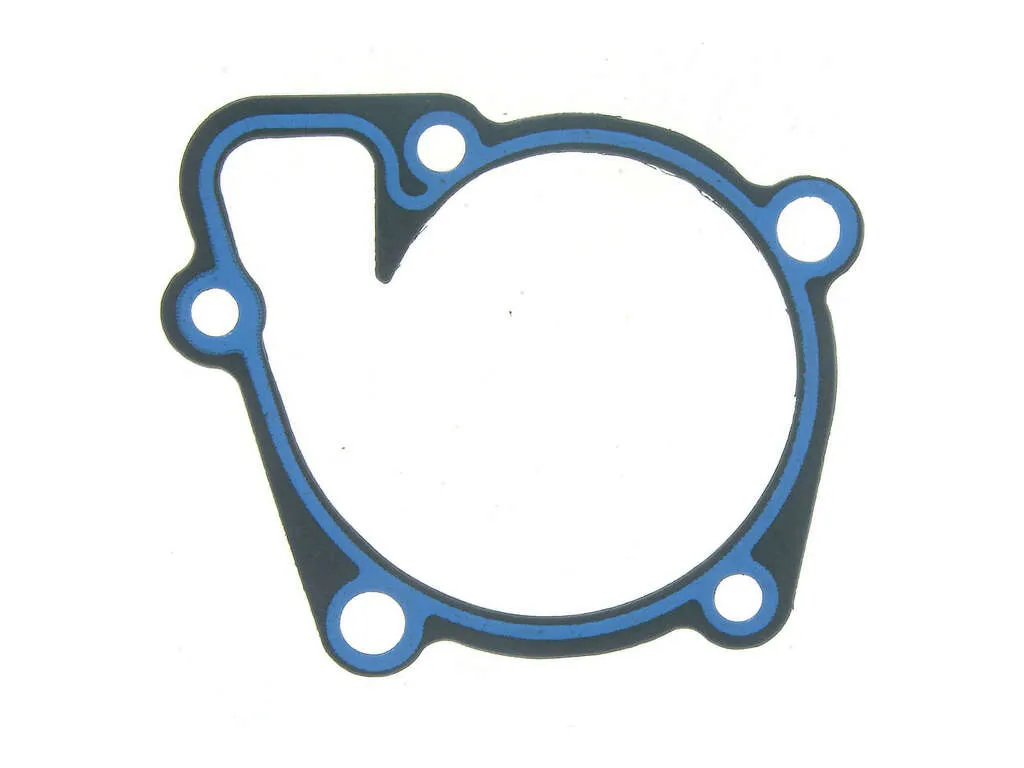 2015, 2014, 2013, 2012, 2011, 2010, 2009, 2008, 2007, 2006 Kia Optima Engine Water Pump Gasket