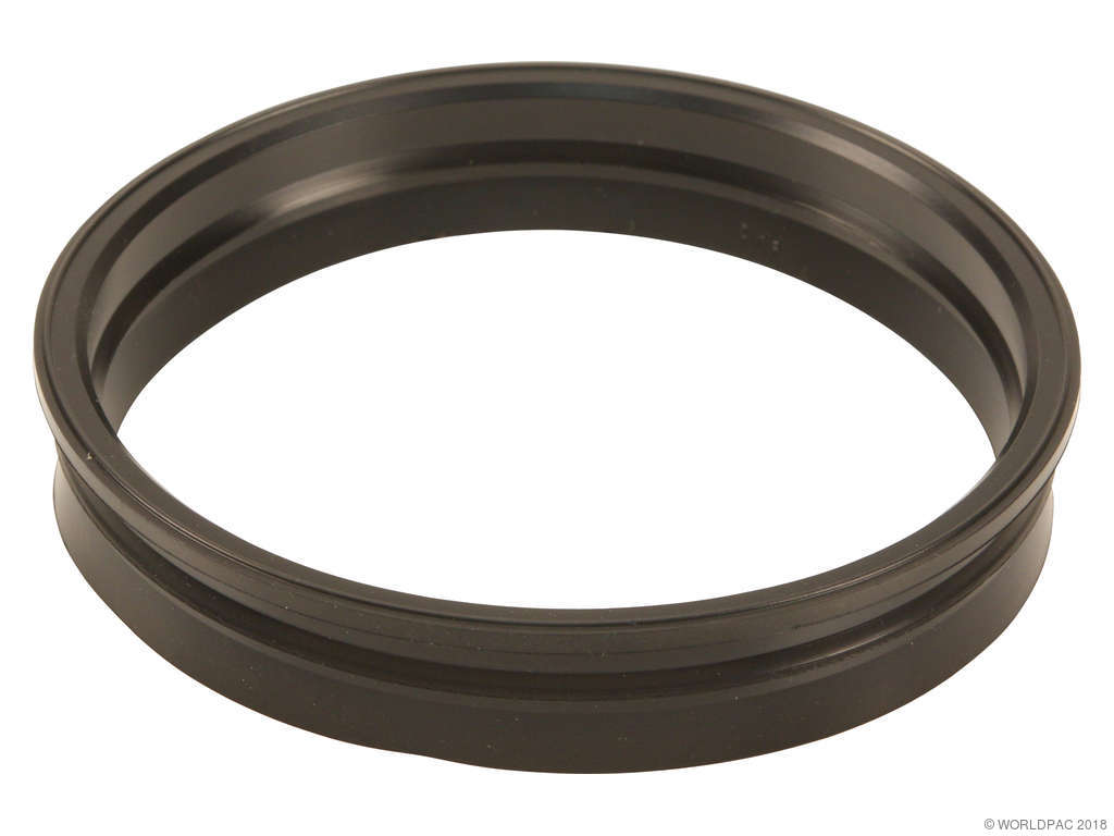 2005, 2004, 2003 Honda Element Fuel Pump Tank Seal
