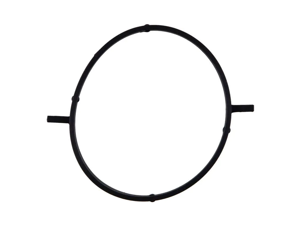 2017, 2016, 2015, 2014, 2013, 2012, 2011 Nissan Juke Fuel Injection Throttle Body Mounting Gasket