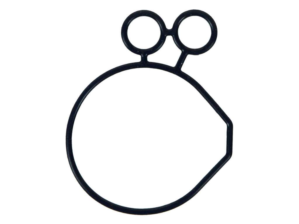 2010, 2009, 2008, 2007, 2006, 2005, 2004, 2003, 2002, 2001 Mazda B2300 Engine Oil Pump Gasket