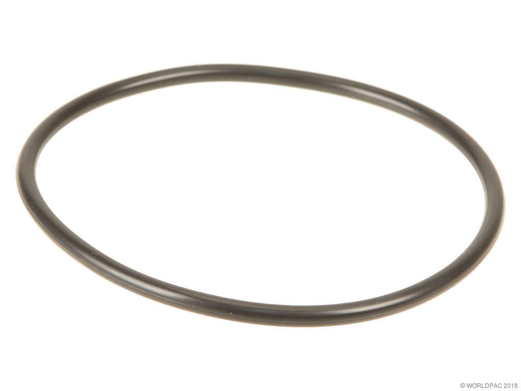 Fuel Pump Tank Seal