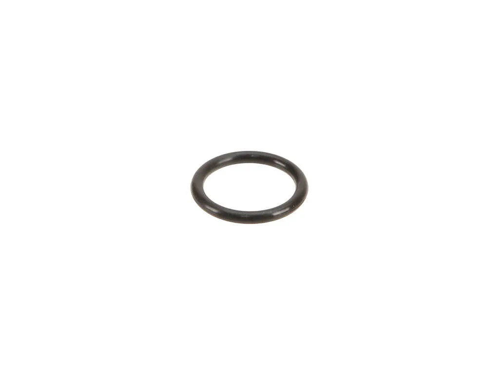 2014, 2013, 2012, 2011, 2010, 2009, 2008 Nissan Maxima Fuel Injector Rail Seal