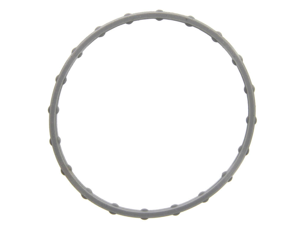 Fuel Injection Throttle Body Mounting Gasket