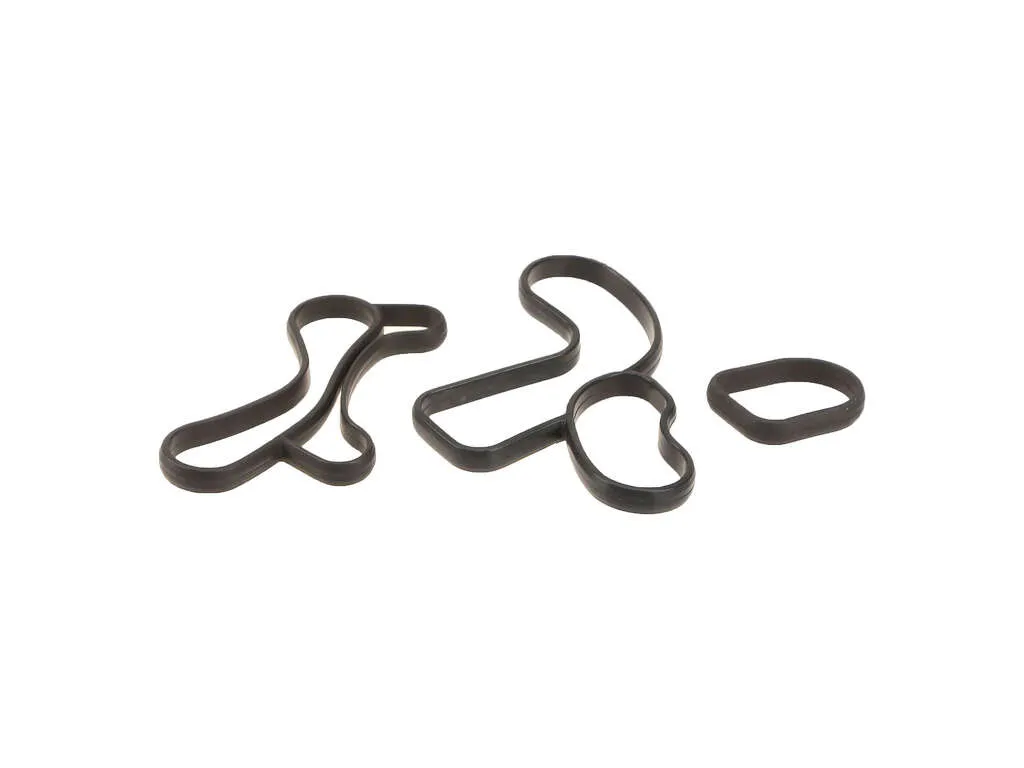 2019, 2018 BMW X3 Engine Oil Cooler Gasket Set