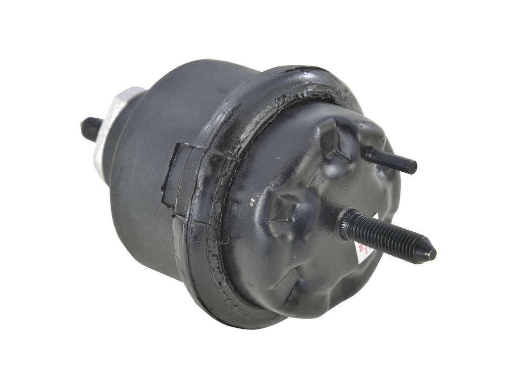 2007, 2006, 2005 Ford Freestyle Hundred Engine Mount