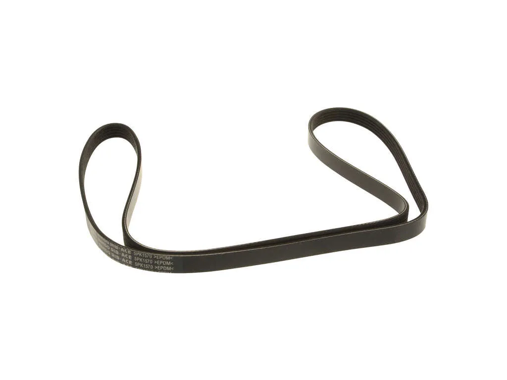 2010, 2009 Pontiac G3 Accessory Drive Belt