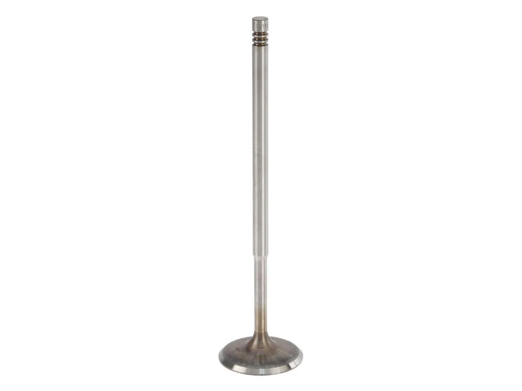 2010, 2009, 2008, 2007 Audi Q7 Engine Intake Valve