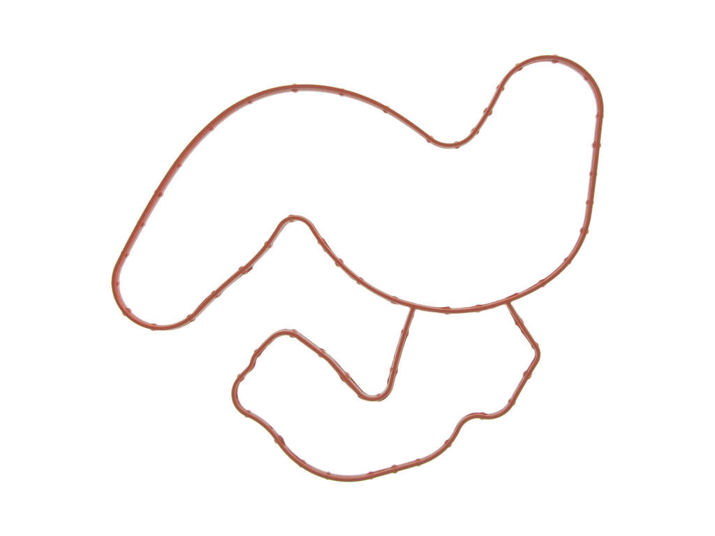 2009 Dodge Durango Engine Water Pump Gasket