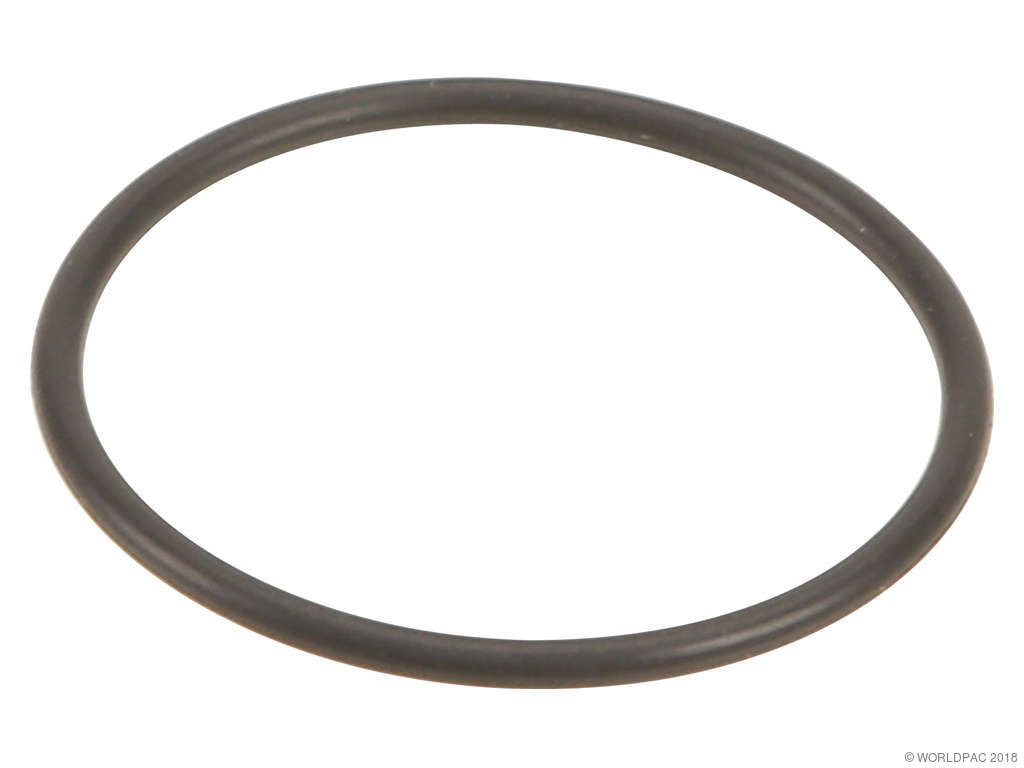 Fuel Pump Gasket