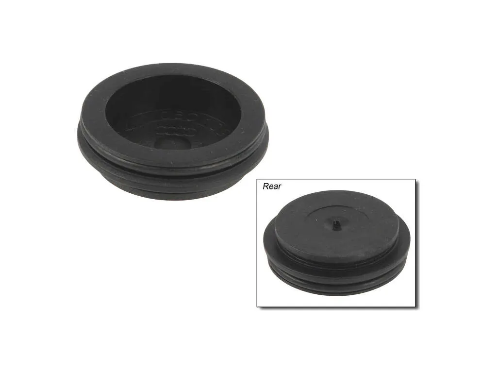 Engine Camshaft Plug