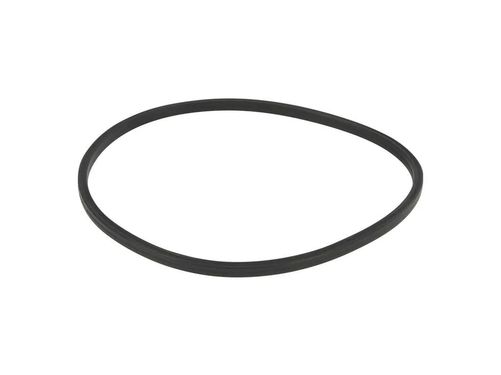 2002, 2001, 2000, 1999, 1998, 1997, 1996 Chrysler Sebring Fuel Pump Tank Seal