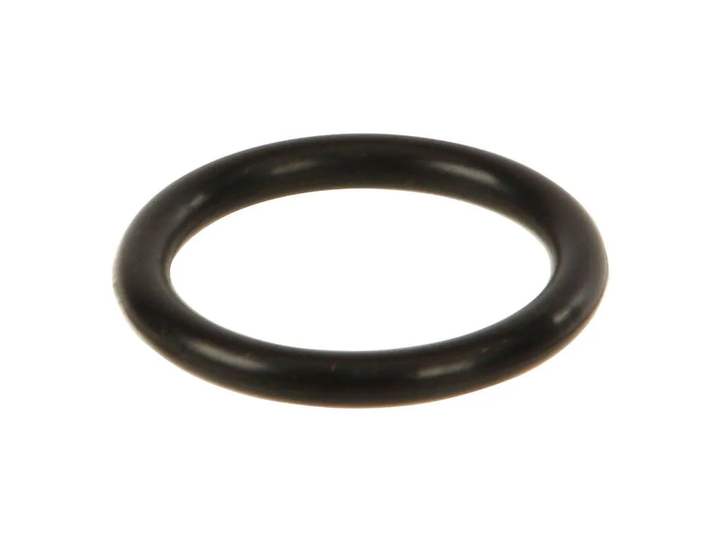 2000, 1999, 1998, 1997 BMW 528i Engine Coolant Pipe O-Ring