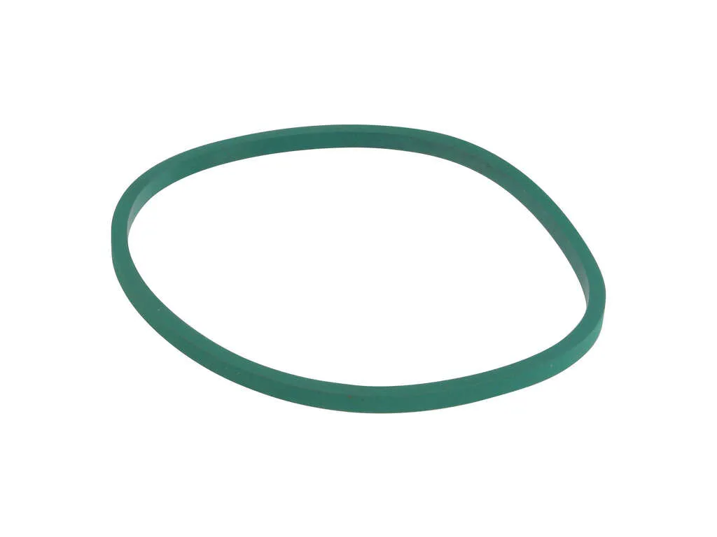 2004, 2003, 2002, 2001 Isuzu Rodeo Fuel Pump Tank Seal