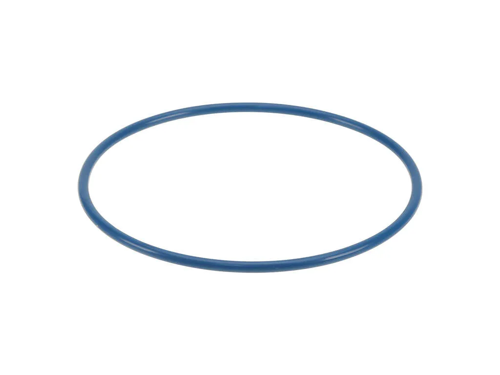 Fuel Pump Tank Seal