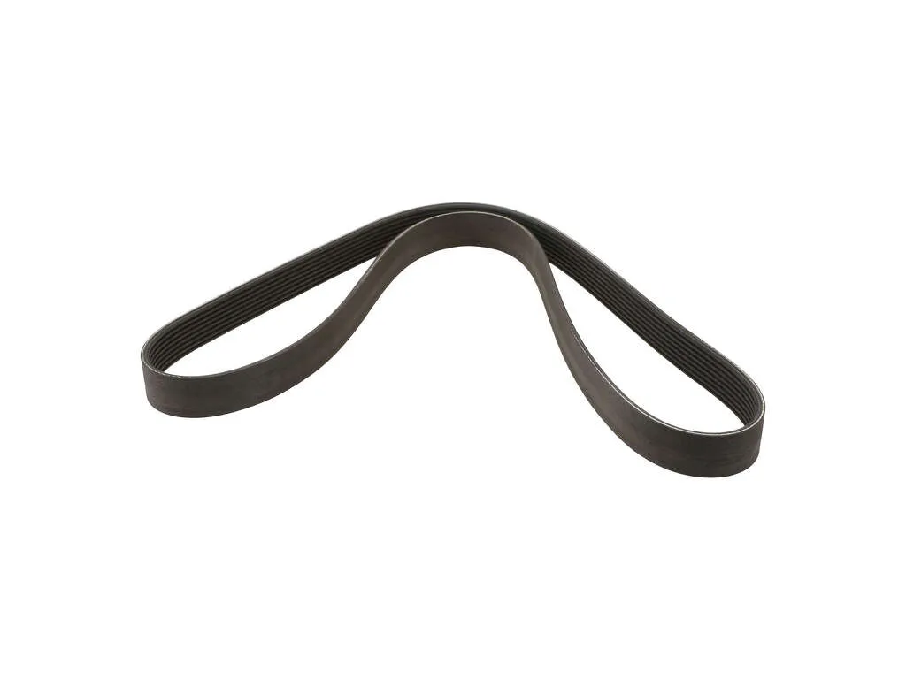 2018, 2017, 2016 BMW M2 Accessory Drive Belt