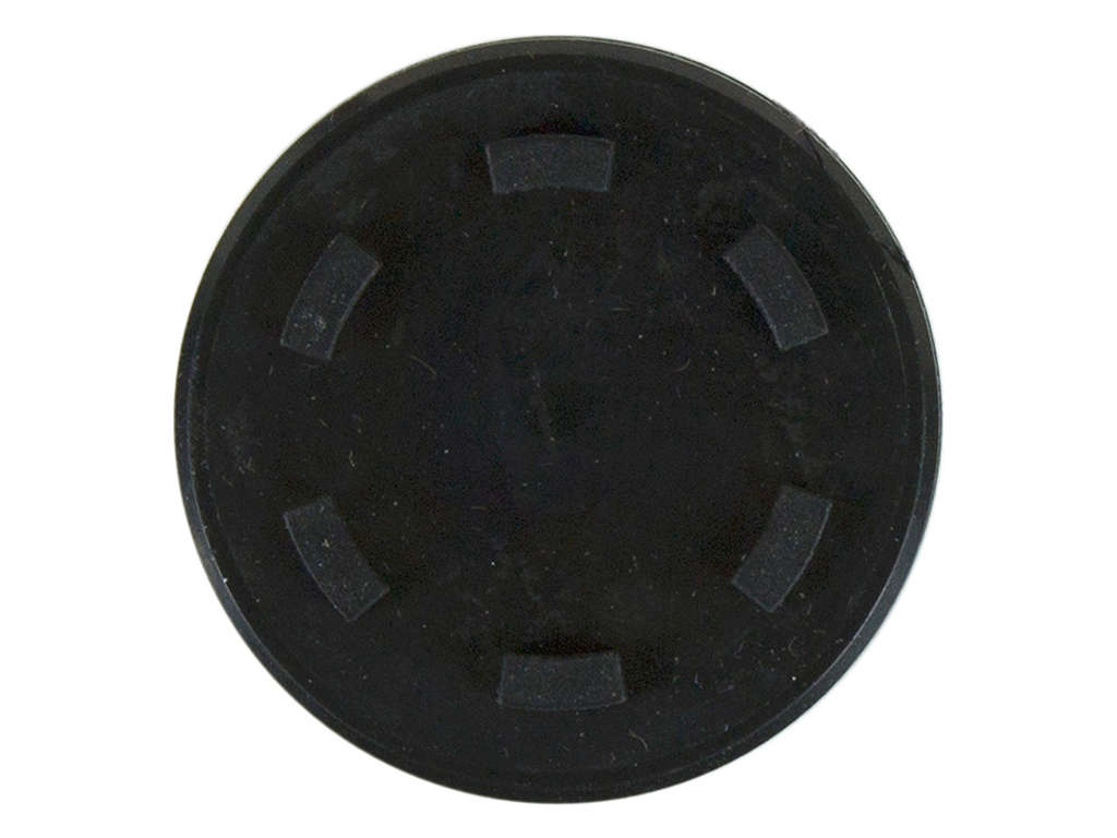 Engine Camshaft Plug