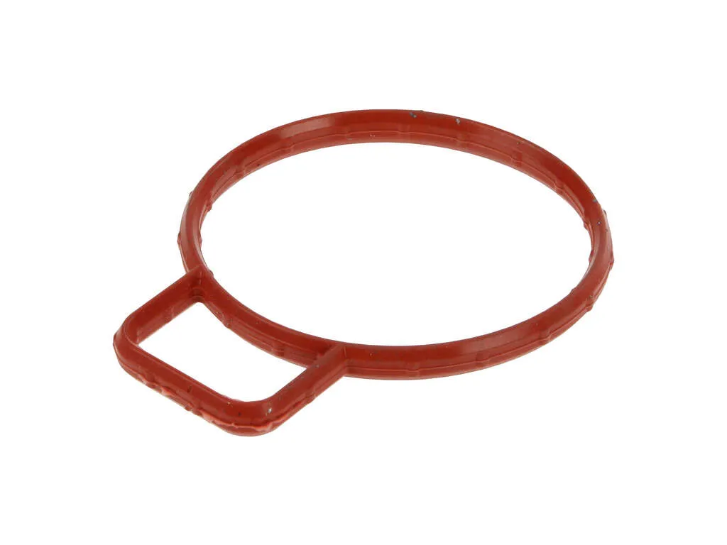 2003, 2002, 2001, 2000, 1999, 1998, 1997, 1996 Ford Windstar Fuel Injection Throttle Body Mounting Gasket