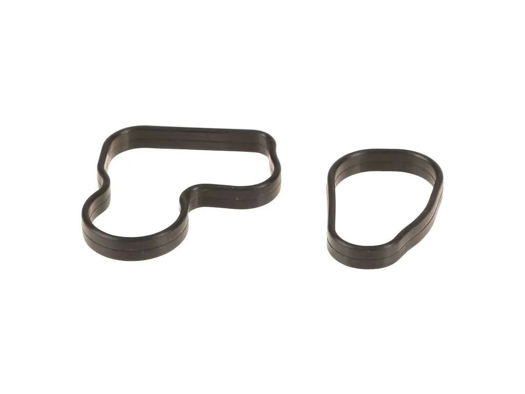 2010, 2009, 2008, 2007, 2006 Ford F-150 Victoria Engine Coolant Outlet Gasket