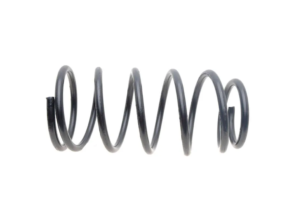 2007, 2006, 2005 Dodge Caravan & Country Coil Spring