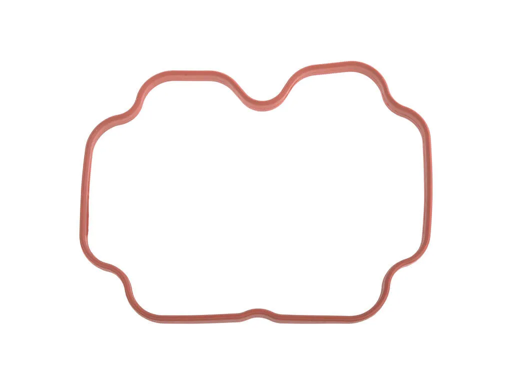 2003, 2002, 2001, 2000 BMW X5 Engine Intake Manifold Gasket