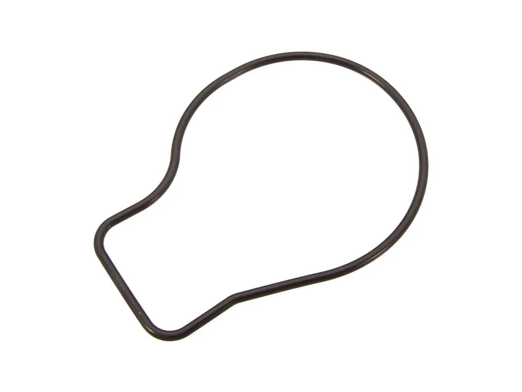 2001, 2000, 1999, 1998, 1997, 1996, 1995, 1994, 1993, 1992, 1991, 1990 Acura Integra Engine Water Pump Gasket