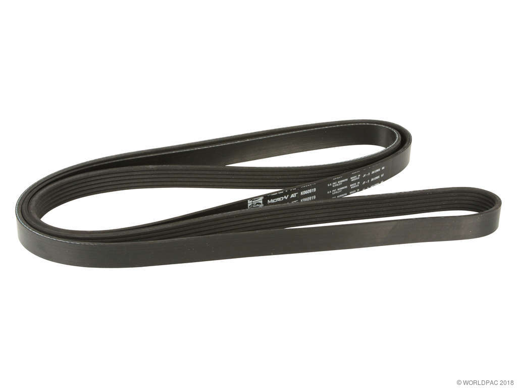 2008 Ford Escape Econoline Accessory Drive Belt
