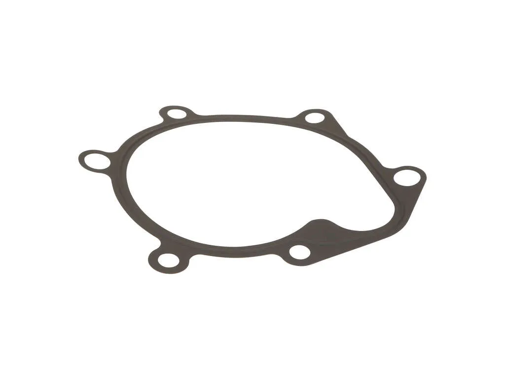 1997, 1996 Lexus LX450 Engine Water Pump Gasket