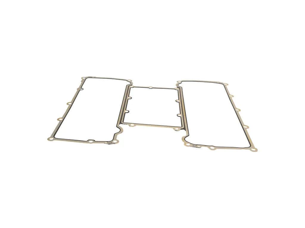 Fuel Injection Plenum Gasket