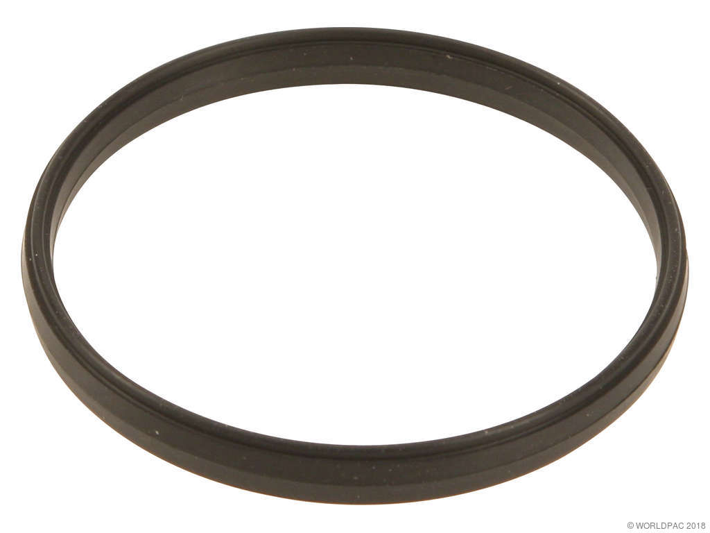 2004, 2003, 2002, 2001, 2000 Ford Focus Engine Coolant Outlet Gasket
